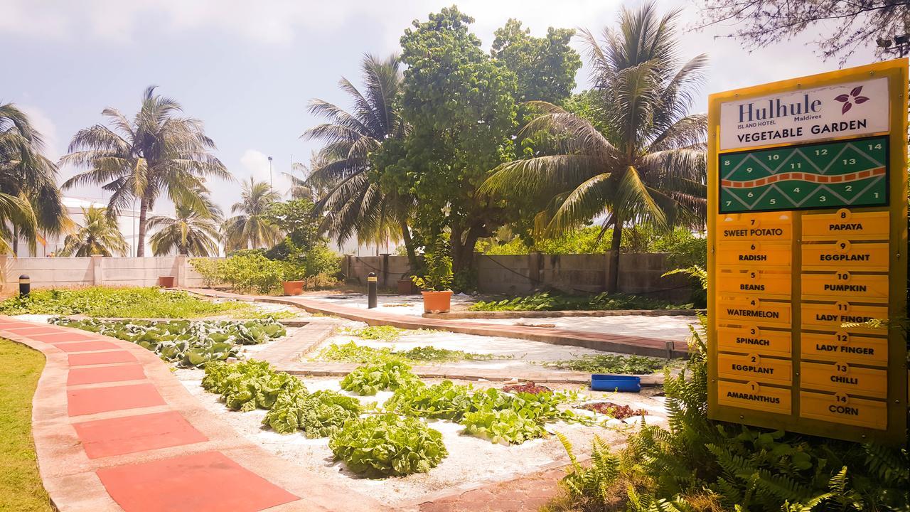 Hulhule Island Hotel Μαλέ Εξωτερικό φωτογραφία